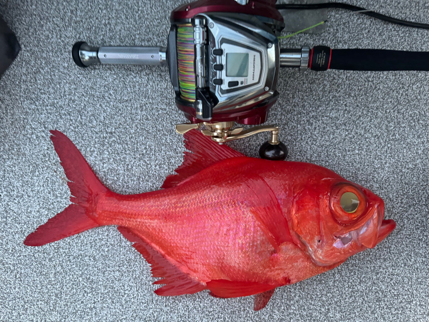 Gokuspe Shinkai Beryx Rod