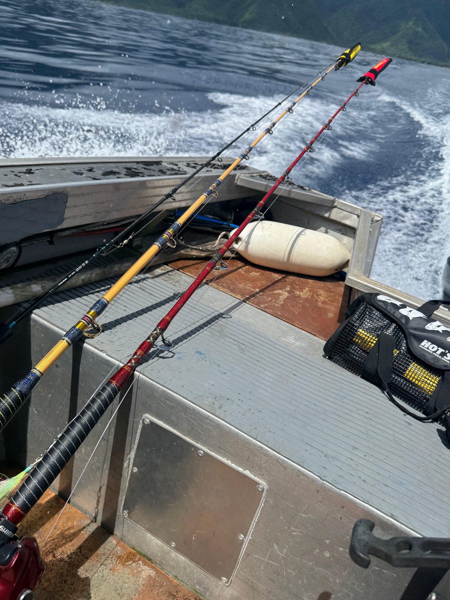 Gokuspe Grand Evo Yellow fin Tuna